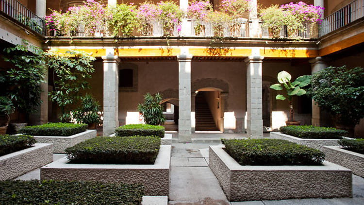 El Colegio Nacional